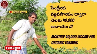 సేంద్రీయ వ్యవసాయం ద్వారా నెలకు 40,000 ఆదాయం | Monthly 40,000 income for organic farming | #farms