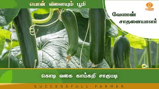 கொடிவகை காய்கறி சாகுபடி | Successful Farmer