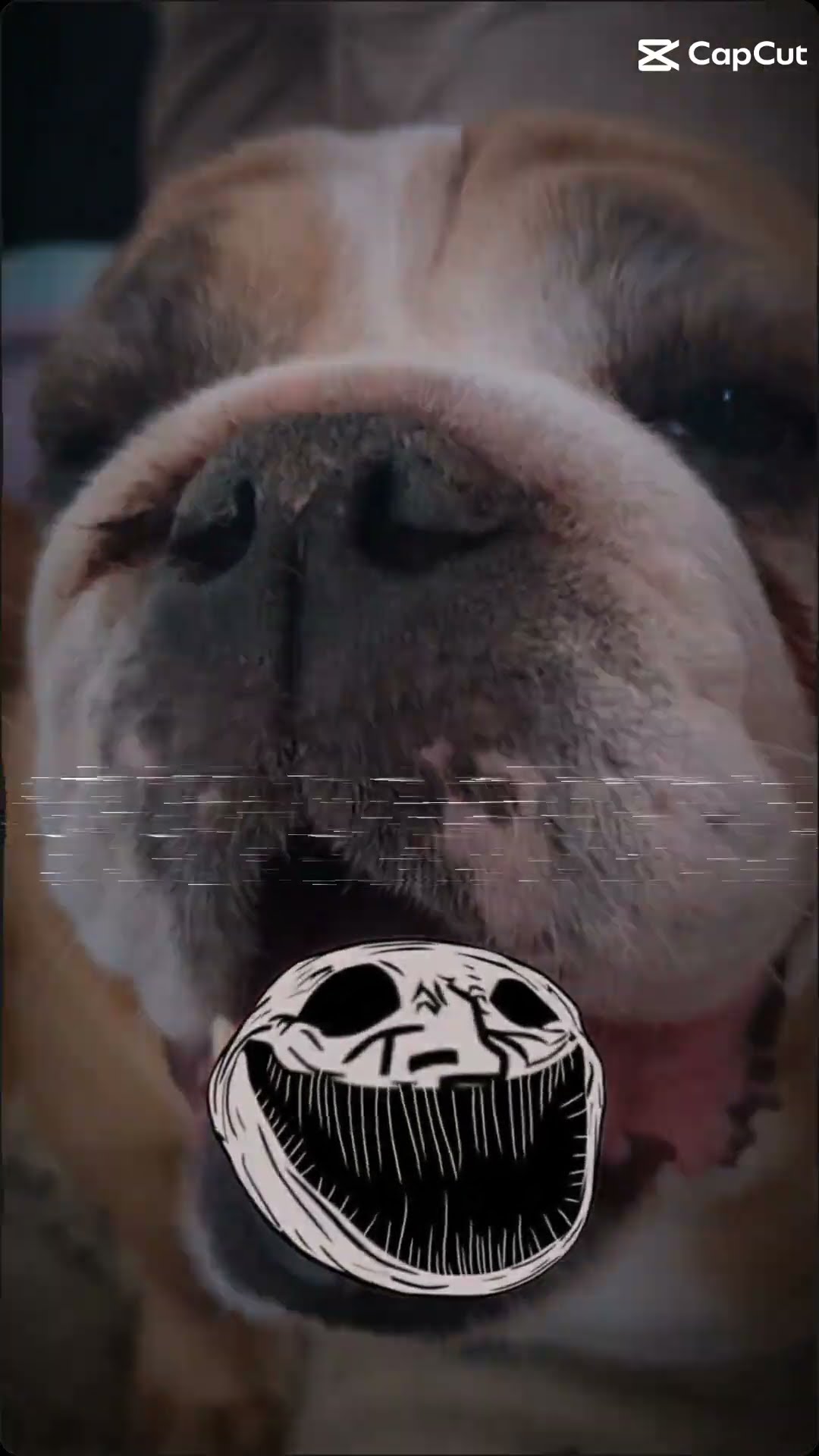 Troll Face Edit Youtube