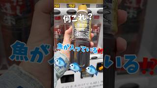 出汁の自動販売機？！#shorts #だし道楽　#自動販売機　#自販機