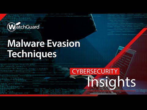 Cybersecurity Insights – Malware Evasion Techniques