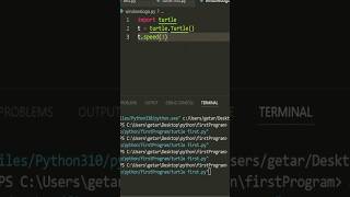 Draw Windows Logo Using Python 🐍Turtle | Fun Python Turtle Project #shorts