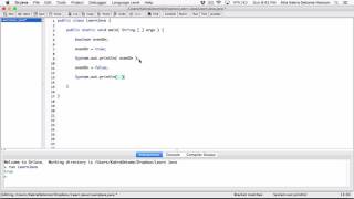 24. Primitive data type: boolean - Learn Java