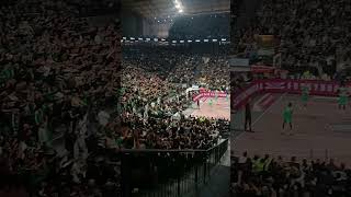 Παναθηναϊκός - Εφές |×Χόρτο Μαγικό #gate13 #pao #Panathinaikos #euroleaguebasketball #shorts