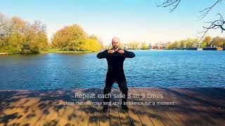 Relieve Back Pain: Yin-Yang Mobility Exercises from Post Standing Practice into Movement