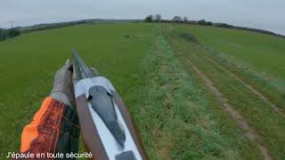 Chasse aux chevreuils - mon premier au fusil