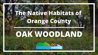 The Native Habitats of Orange County (CA) - Oak Woodland