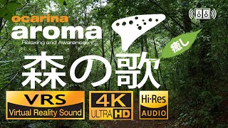 🔊【癒しのオカリナ曲と自然風景・ハイレゾ立体音響・４K映像】Ocarina aroma 森の歌/安らぎ/ヒーリング/くつろぎ/穏やかな気分