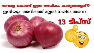 ഉള്ളിയുണ്ടോ സവാളയുണ്ടോ ഇതാ 12 ടിപ്സ് / 12 very interesting onion tips