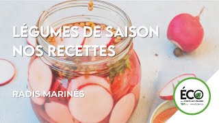 Cuisinez avec des légumes de saison - Capsule 1: Radis marinés