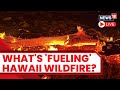 Hawaii Wildfire Live News | Deadly Wildfires Devastate Hawaii’s Maui Island | Maui Fires Today News