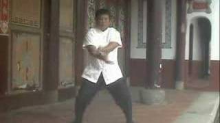 Taiwan SHI-HE-QUAN  KUNG-FU audiovisu short subject食鶴拳教學光碟短片(Sifu Liu Han-Hong)