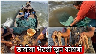 डोलिला पडली भरपूर कोलबी | big fish catching | @urankaranjekar3037 @AshwinVlogs @RoshanSante-ig6ks