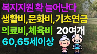 2025시니어혜택 확 바꾼다.돈 되는 정책 놓치지 마세요