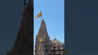 🙏Jay Dwarkadhish 🙏#sorts #dwarka #dwarkadhish #radhakrishna #radheradhe #krishna #radha #viralvideo