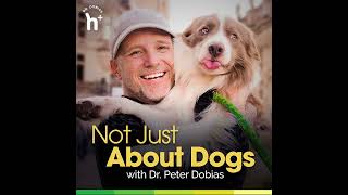 Episode 11: Nutrition for puppies and adult dogs: Balancing the correct ratio of calcium and phos...