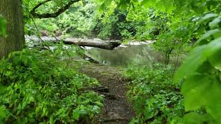Samsung Galaxy S9 Plus Camera (4K Video): Gorgeous Nature Footage