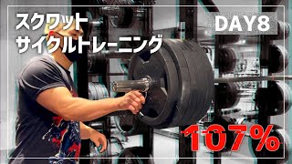 【DAY8】スクワットサイクルトレーニング｜MAX測定直前は疲労を残さない