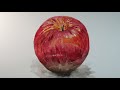 apple watercolor painting tutorial วาดภาพสีน้ำแอปเปิ้ล