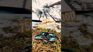 First TestFlight - DJI O4 Whoop Freestyle #fpv