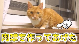 この猫は包帯が滑って上手く歩けない…。歩きやすいように肉球を作ってあげた。