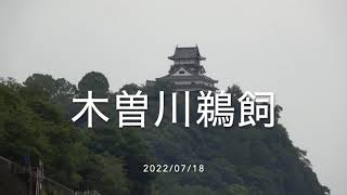 木曽川鵜飼   HD 720p