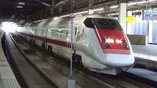 【HD 5.1ch】 Japanese bullet train 東北・上越新幹線など... 大宮駅ホームから撮影