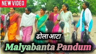 Malyabanta Pandum || ढोला आटा ||  Koya Gondi Tribal Dhola Dance 2024 || Gondi Song || Ashok Prime TV