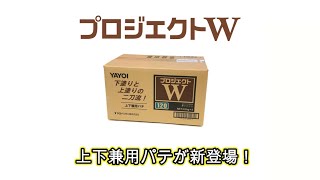 プロジェクトW【キレ・伸びが良く、平滑面を作りやすい上下兼用パテ】