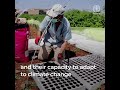 Climate action and human rights: building sustainable agrifood systems