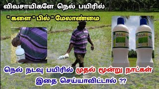 நடவு நட்டாச்சா விவசாயிகளே !! களைக்கொல்லி போட்டீர்களா ? எப்படி ? என்ன ? | tamil