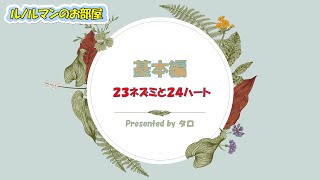 ルノルマンカード🔮の基本解説編（23ネズミ🐭と24ハート❤️）