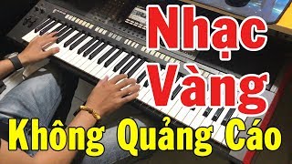 Hòa Tấu Rumba Không Lời 2020 | Nhạc Guitar Không Quảng Cáo | Trực Tiếp Nhạc Vàng Hải Ngoại Buổi Sáng