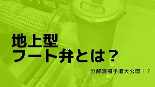 地上設置型フート弁大解剖！？分解・清掃方法解説❗️ #消防設備点検 #フート弁　#消火ポンプ