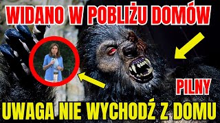 ALERT: Zabójcze wycie: Mroczna legenda o wilkołaku nawiedzającym Zakazany Las!