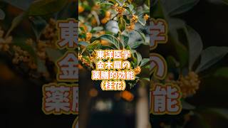 #東洋医学 の「桂花（金木犀の薬膳的効能）」#shorts  #鍼灸師   #国家試験対策 #東洋医学 #雑学 #鍼灸学説 #国家試験 #ヨガ #国家試験 #薬膳