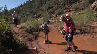 Mule Canyon Half Day Hiking Tour