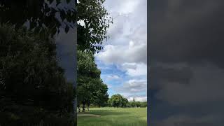 【風景】鶴見緑地公園🌳Tsurumi Ryokuchi Park