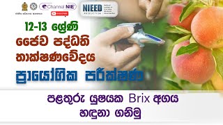 A/L BST (ජෛව පද්ධති තාක්ෂණවේදය) ප්‍රායෝගික පරීක්ෂණ | පලතුරුයුශයක Brix අගය හඳුනා ගනිමු