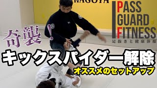 奇襲！オススメのキックスパイダー解除を説明しました【柔術】【BJJ】Spider Guard Pass 스파이더 가드 패스