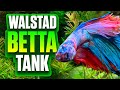 Easy Walstad Betta Fish Tank (Month 3 Update) - No CO2, Liquid Fertilizer, Or Root Tabs!