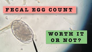 Is Fecal Egg Count Worth It?  Livestock Expenses