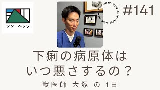 141.下痢の病原体はいつ悪さをする？　※概要欄にて日齢訂正