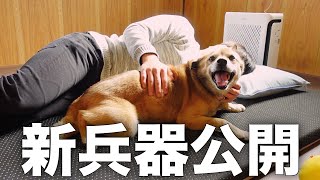 愛犬コロちゃんを室内飼いしてもニオイに困らない空気清浄機を見つけました