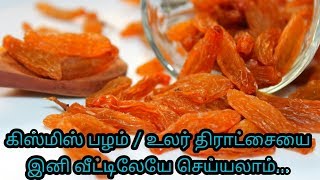 உலர் திராட்சையை வீட்டிலேயே இனிமேல் செய்யலாம் | How to make Raisins at Home in Tamil