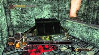 DARK SOULS™ II: Scholar of the First Sin ,  never trust a chest
