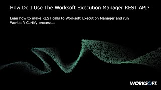 Execution Manager - How to Use the Execution Manager REST API