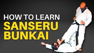 Basic Bunkai for Sanseru (Goju Ryu)