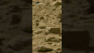 Revisión muy rápida del hueso descubierto en Marte (vista rápida) #Shorts