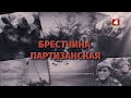 Брестчина партизанская 31.05.2024